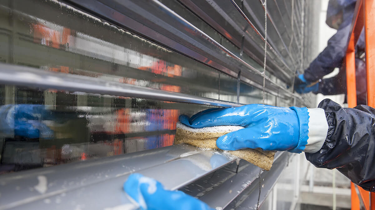 Gebäudereinigung Storen