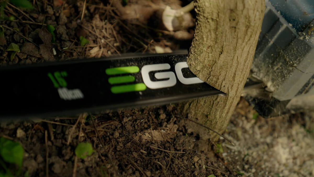 Gartenunterhalt Baumschnitt