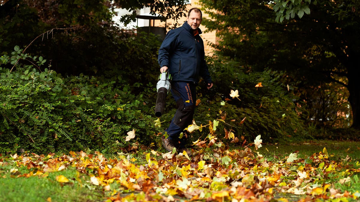 Gartenunterhalt Laubentfernung & Rasenpflege