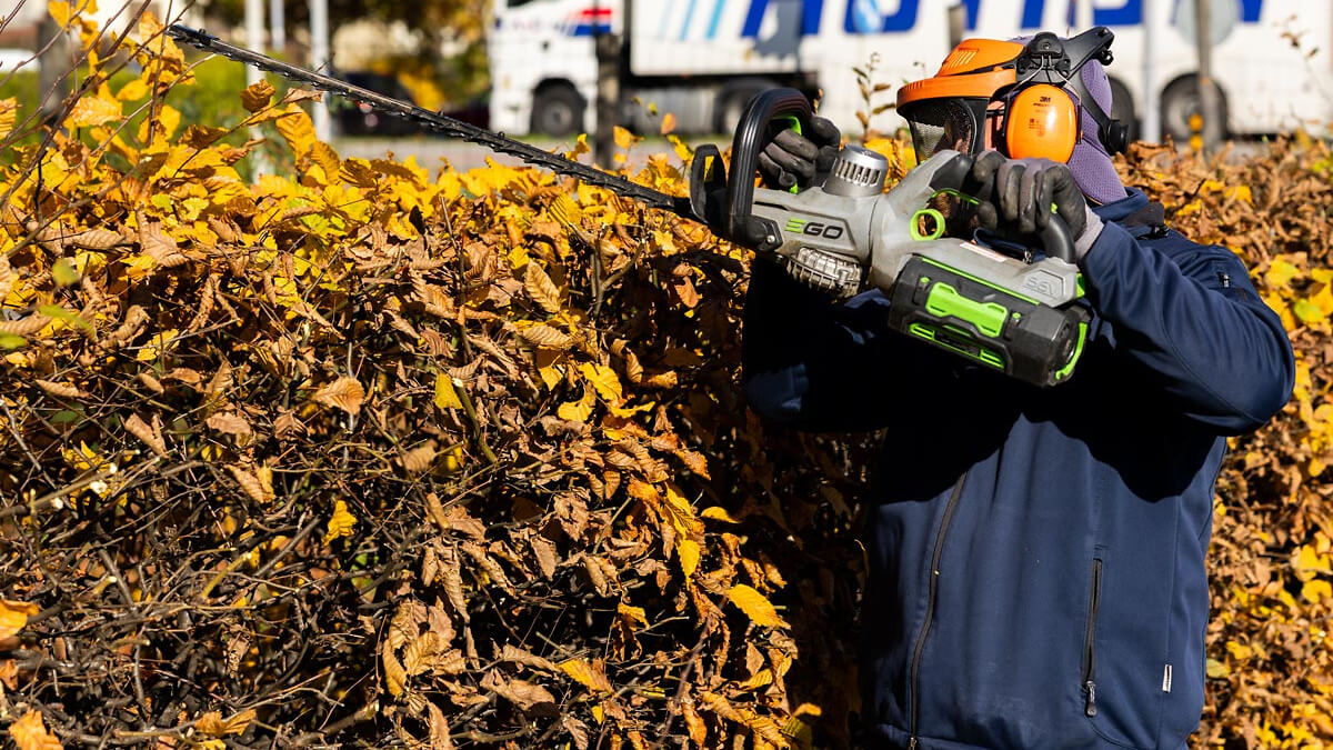 Gartenunterhalt Heckenschnitt
