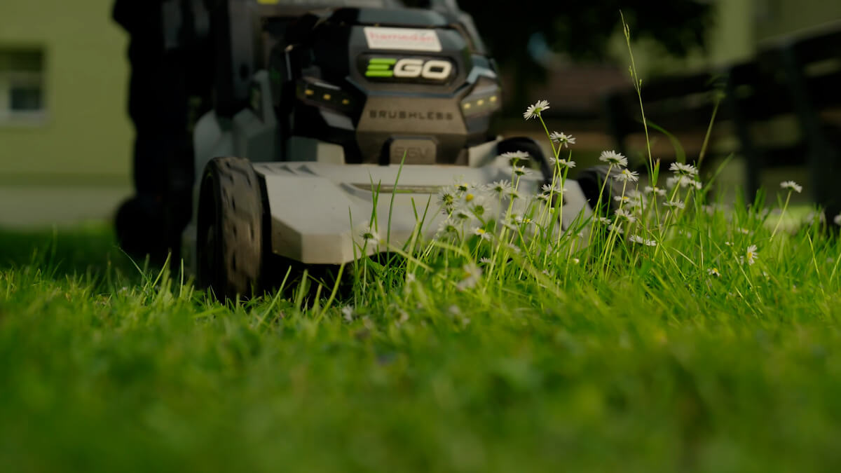 Gartenunterhalt Rasen mähen