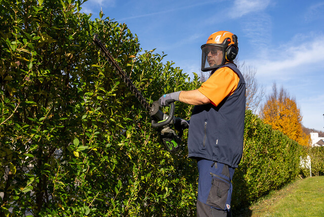 Gartenunterhalt Heckenschnitt P Sonderegger AG